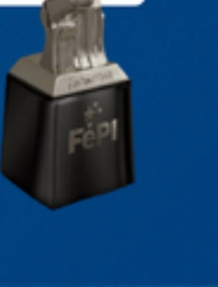 Trofeo FePI